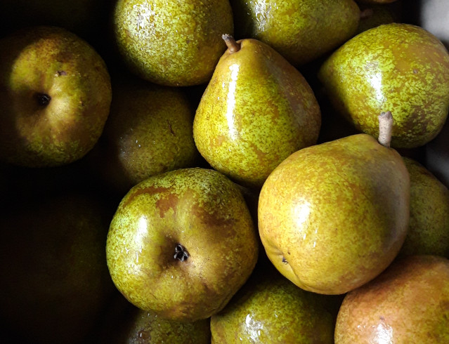 Fruit bio : Poire Comice