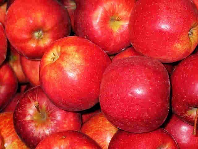 Pommes Royal Gala bio - Image par Kerstin Riemer de Pixabay