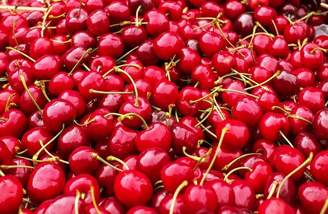 Cerises bio
