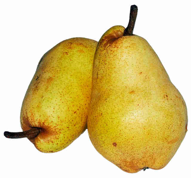 Fruit bio - Poire William