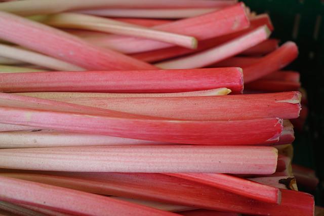 Fruits bio : Rhubarbe
