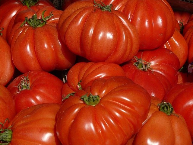 Légumes bio - Tomate Coeur de Boeuf